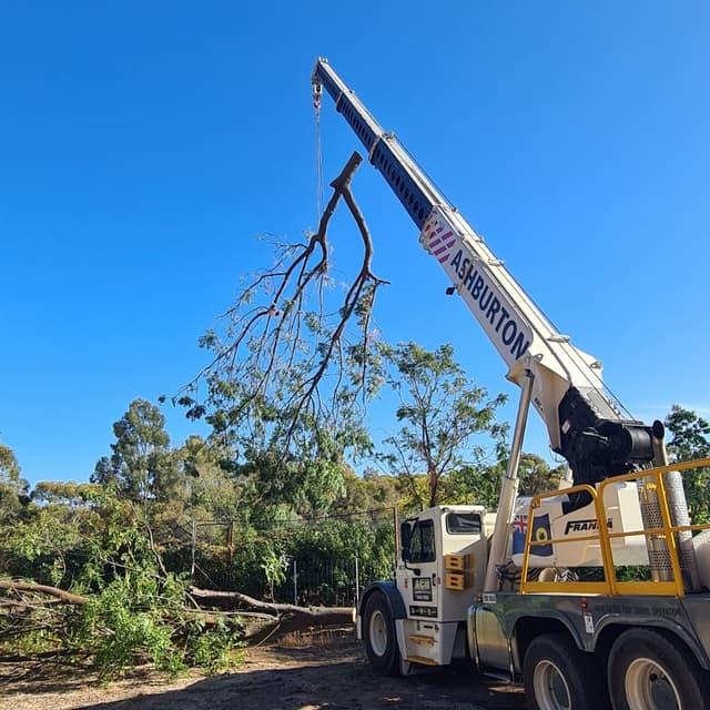 Professional equipment and truck